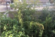 آپارتمان مبله سه خواب پردیسان در قم