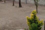 ویلا دوبلکس دوخواب دریا در انزلی