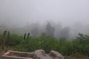 کلبه ییلاقی تکخواب پدر در ماسال