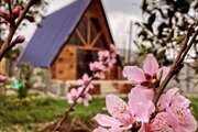 کلبه سوئیسی دوبلکس در بابل
