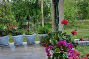 باغ ویلا تکخواب مبله علیرضا در ماسال