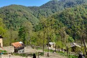 واحد جنگلی تکخواب در طبقه دوم ویلای ماسوله