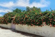 واحد دو خواب در طبقه اول ویلای بندرترکمن