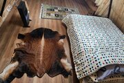 کلبه چوبی  دوبلکس دو خواب جنگلی در ساری