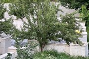 باغ ویلا مبله تکخواب مروارید در طالقان