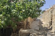 آپارتمان مبله تکخواب کانیا در پاوه