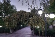 ویلا دو خواب استخردار باغ گیلاس در چهارباغ