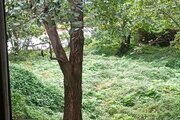 ویلا دوبلکس استخردار آرام در چالوس
