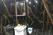 کلبه ساحلی تکخواب دوبلکس در بندرانزلی