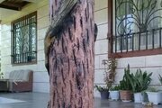 ویلا دو خواب در روستا شیوا