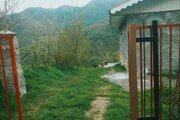 ویلای تکخواب مبله جنگلی در تالش
