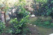 واحد در طبقه همکف ویلا روستا شیشارستان