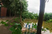 کلبه سوئیسی دوبلکس دوخواب کوچولو در بندرانزلی