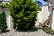 واحد تکخواب ساحلی در طبقه همکف ویلای شیرود