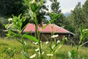 کلبه آمادای در ماسال