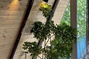 کلبه سوئیسی مبله سولین در نمک آبرود
