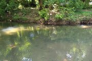 سوئیت ویلا مبله در رشت