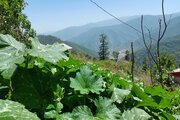 واحد دوخواب در طبقه اول ویلای افراتخته در علی آباد