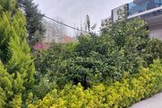 ویلای استخردار در بندر انزلی