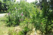 خانه ویلایی 2 خواب گیلان