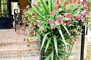 خانه ویلایی دو خواب بهشت در رشت