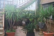 واحد تکخواب در طبقه همکف ویلا داریوش رشت