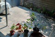 خانه ویلایی مبله دوبلکس در رشت