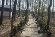باغ ویلا دوخواب میجان 1 در رشت