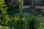 ویلا دوخواب مبله سرسبز در خمام