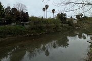 واحد طبقه اول ساحلی ارغوان در متل قو