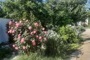 ویلا استخردار دوخواب مبله در کردان