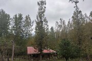 کلبه آمادای در ماسال