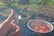 کلبه چوبی ییلاقی در اولسبلنگاه