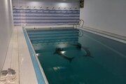 کلبه چوبی استخردار دوخواب در کتالم و سادات شهر