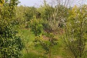 ویلا تکخواب مبله در بابل