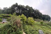 کلبه دوبلکس سوئیسی چوبی بهشت پدری در سوادکوه