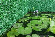 ویلا مبله استخردار در مازندران