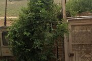 ویلای دوبلکس سه خواب استخردار سرپوشیده در لواسان