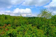 کلبه سوئیسی مبله تک خواب تینار در بابل