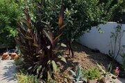 ویلای تک خواب مهرداد 2 در محمودآباد