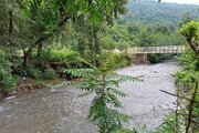 ویلا مبله دوخواب جنگلی نیما در ماسال