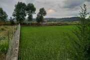 کلبه سوئیسی دوبلکس تک خواب طبیعت 1 در بابل