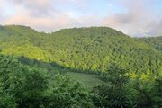 ویلا دوبلکس تک خواب سرای عشق در شیرگاه