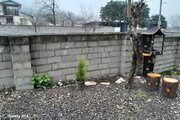 واحد دوخواب عمارت مهراد در طبقه اول ویلای اسالم