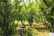 کلبه چوبی دوخواب در روستای درخانه ماسال