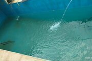 ویلا دوخواب استخردار مبله در چهارباغ