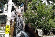 آپارتمان مبله تکخواب مسافر سرچشمه در سمیرم