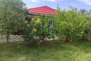 ویلا باغ استخردار مبله دوخواب در بوشهر