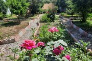 سوئیت ویلا 40 متری مبله در بابل