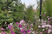 خانه ویلایی دو خواب مبله در فریدن